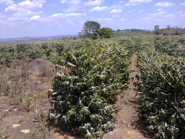 Fazenda, Zona Rural, 4 Quartos, 0 Vaga, 1 Suíte
