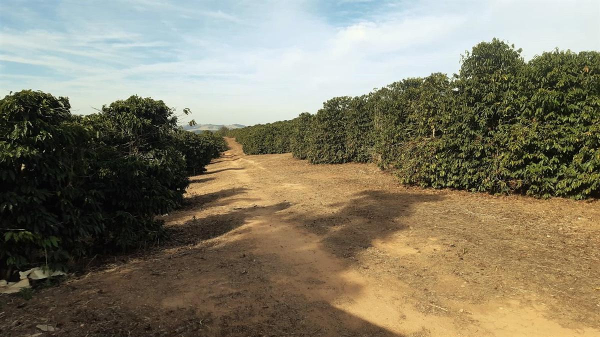 Fazenda, Centro, 1 Quarto, 1 Vaga, 1 Suíte