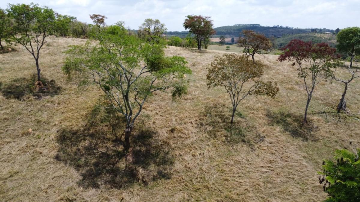 Fazenda, Centro, 3 Quartos, 3 Vagas, 2 Suítes