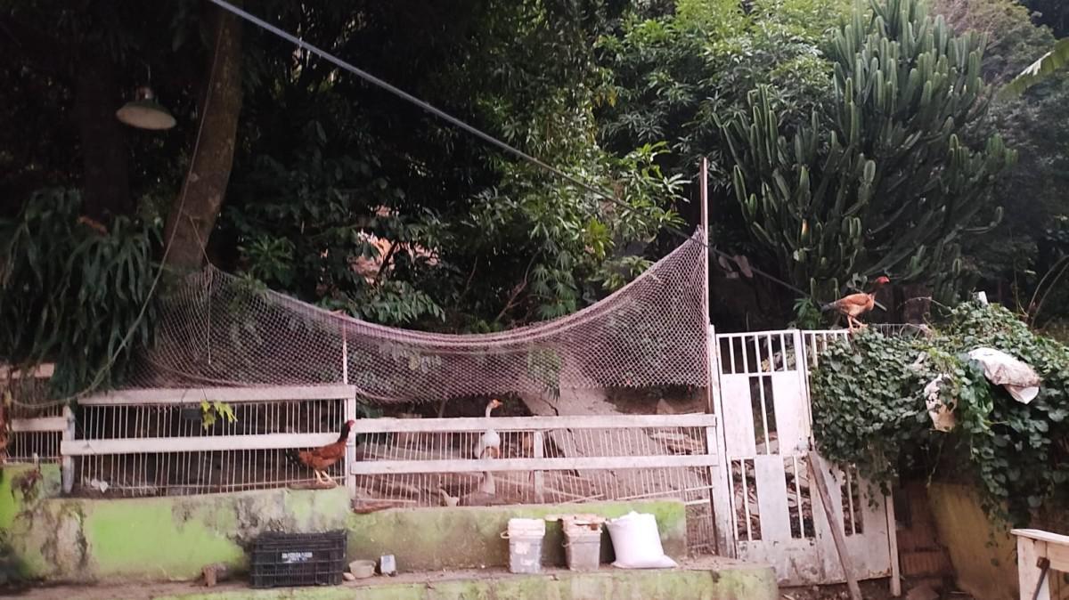 Fazenda, Palmares, 3 Quartos, 3 Vagas