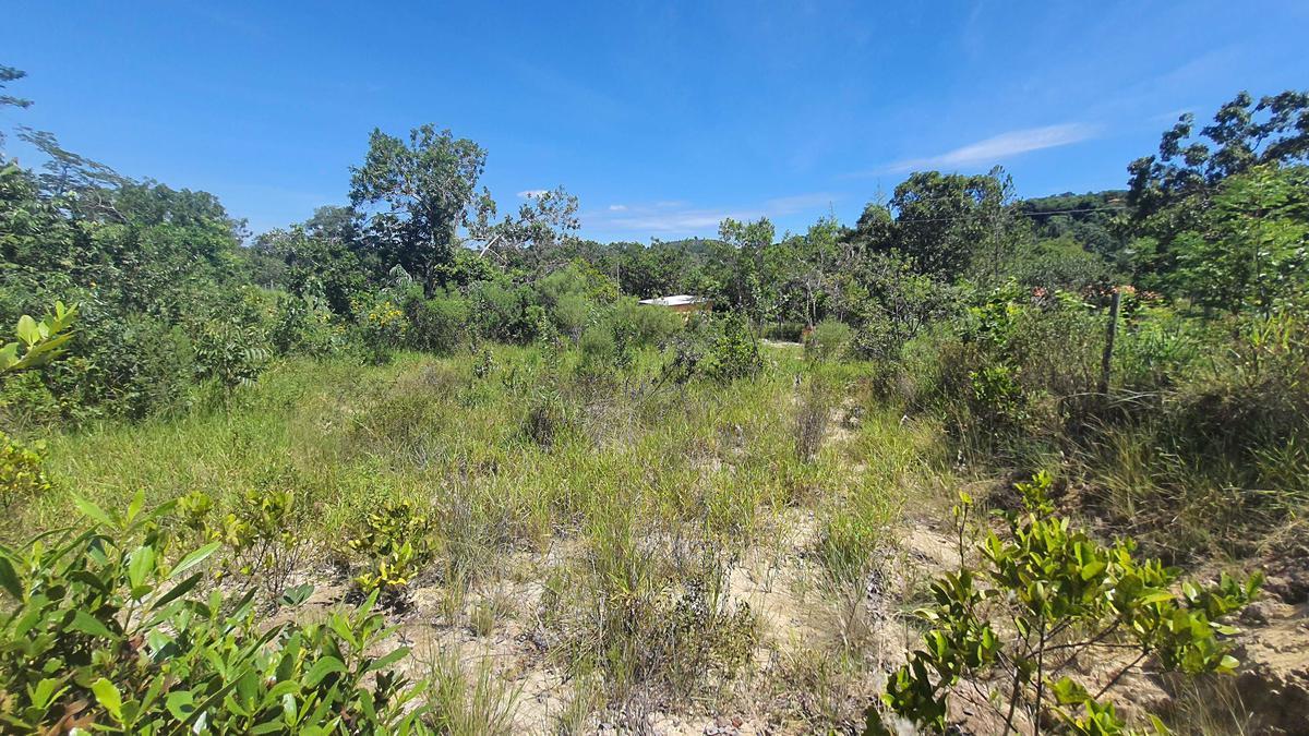 Lote, Ravena, 0 Quarto, 0 Vaga