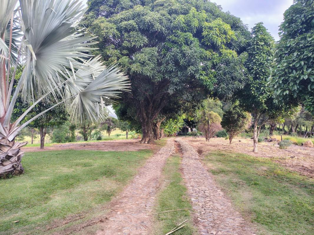 Fazenda, Zona Rural, 0 Quarto, 0 Vaga