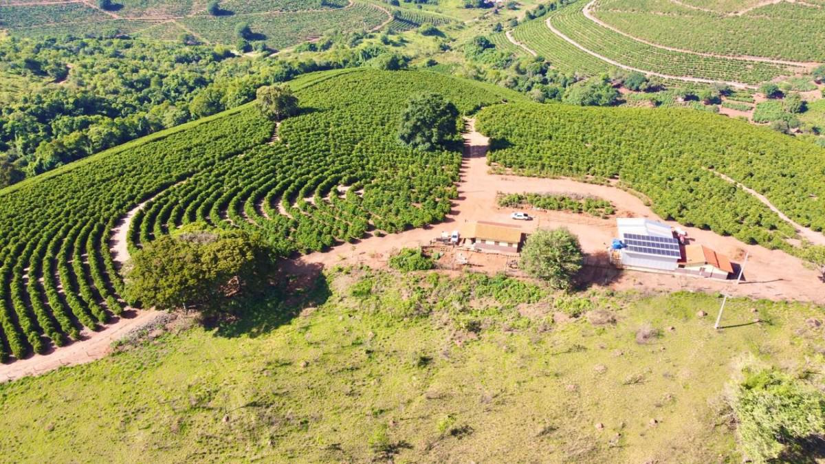 Fazenda, Centro, 0 Quarto, 0 Vaga