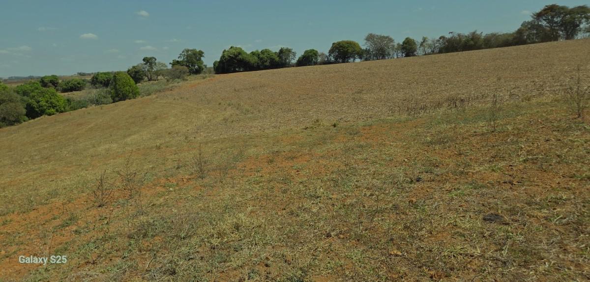 Fazenda, Centro, 1 Quarto, 21 Vagas, 1 Suíte