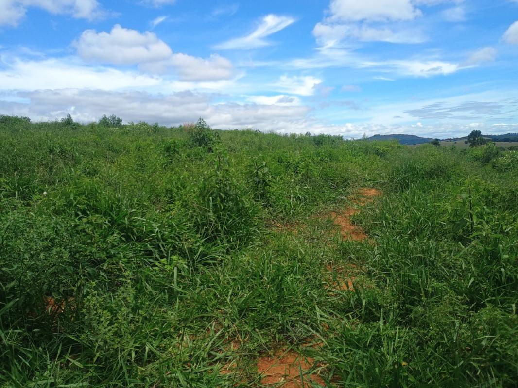 Fazenda, Zona Rural, 0 Quarto, 0 Vaga