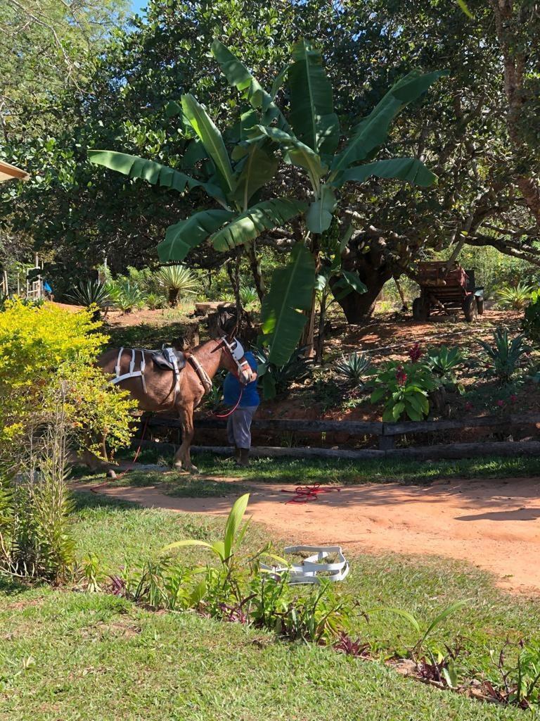 Fazenda, Área Rural de Pará de Minas, 3 Quartos, 0 Vaga, 1 Suíte