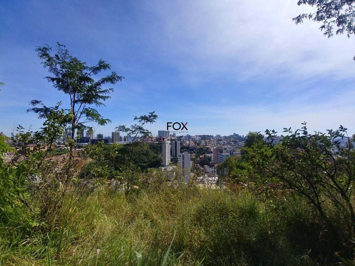 Lote, Santa Lúcia, 0 Quarto, 0 Vaga