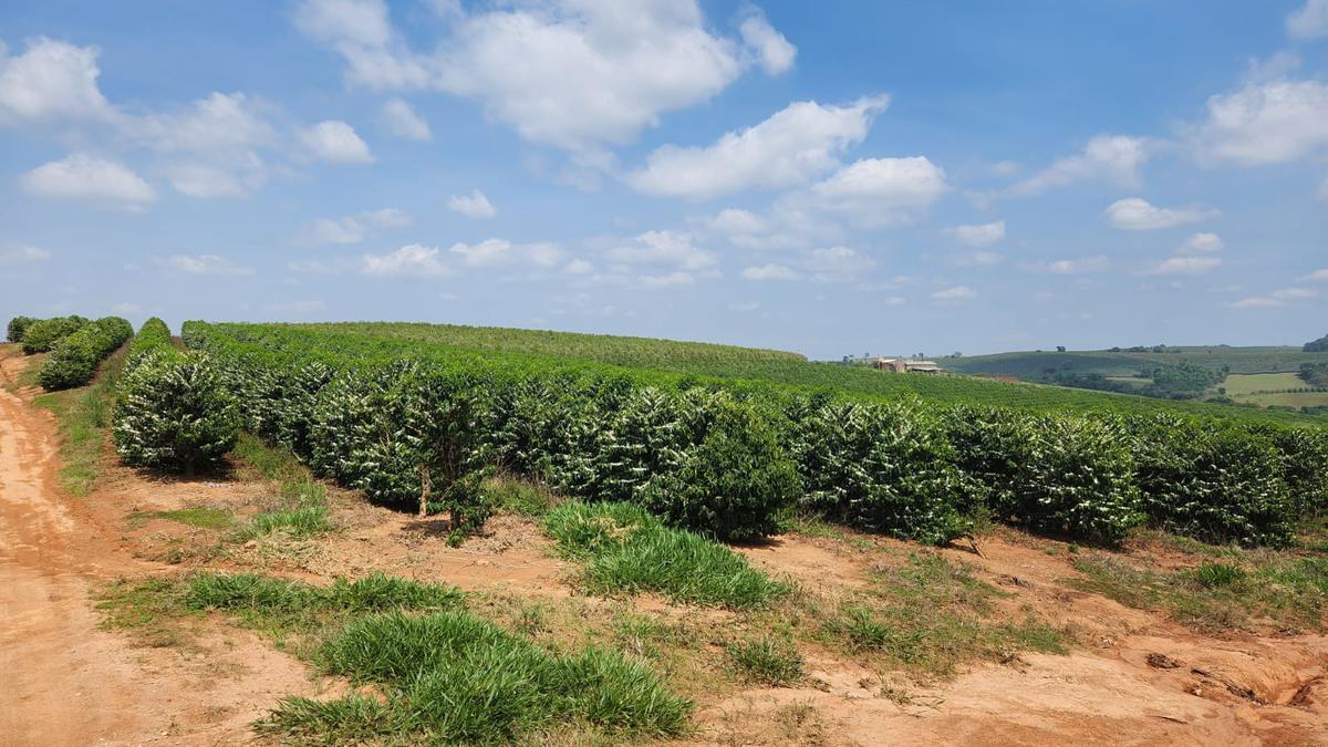 Fazenda, Zona Rural, 1 Quarto, 0 Vaga