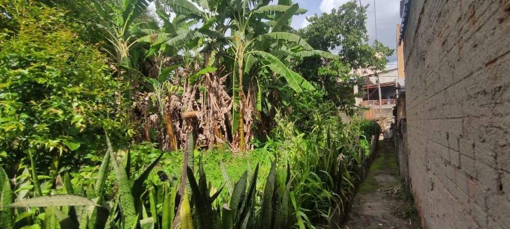 Lote, Sagrada Família, 0 Quarto, 0 Vaga