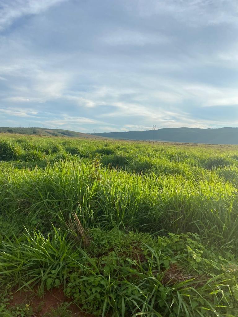 Fazenda, Zona Rural, 3 Quartos, 1 Vaga, 1 Suíte