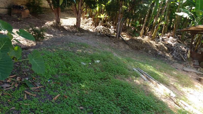 Lote, Alvorada, 0 Quarto, 0 Vaga