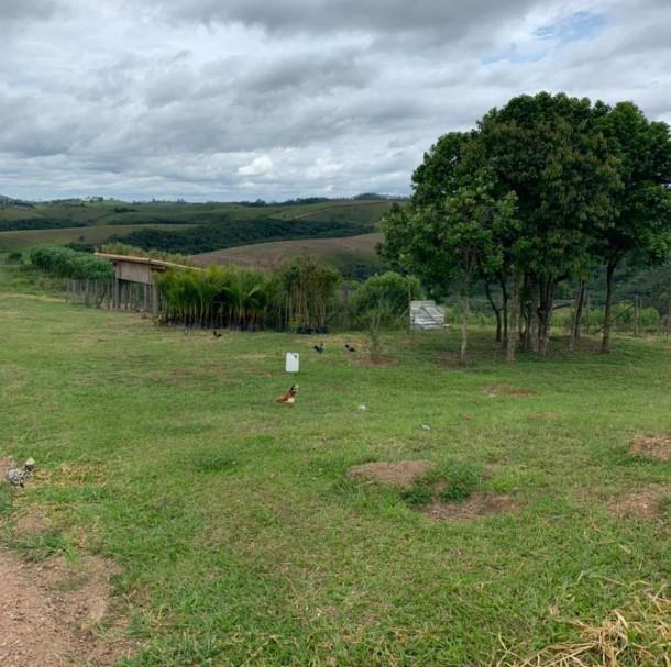 Fazenda, Zona Rural, 4 Quartos, 0 Vaga