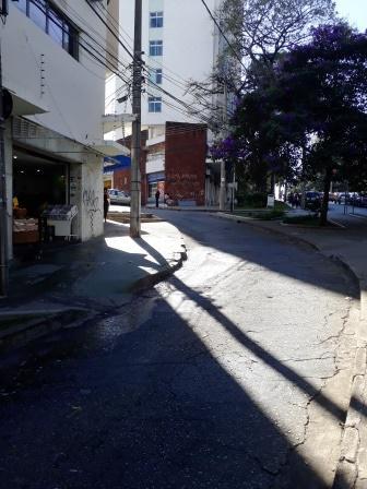 Sala, Floresta, 0 Quarto, 0 Vaga