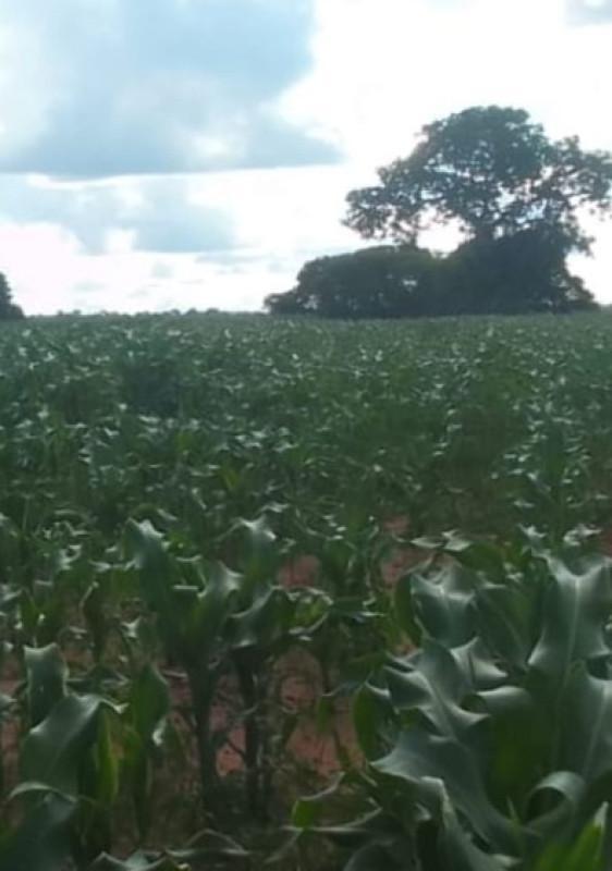 Fazenda, Zona Rural, 0 Quarto, 0 Vaga