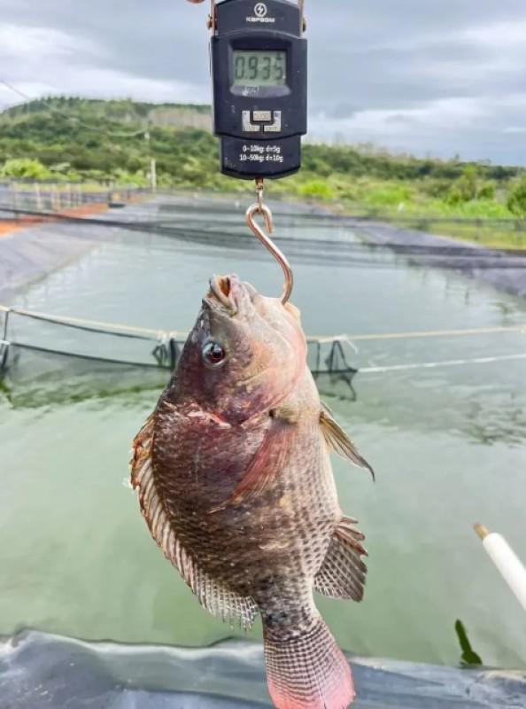Fazenda, Zona Rural, 0 Quarto, 0 Vaga