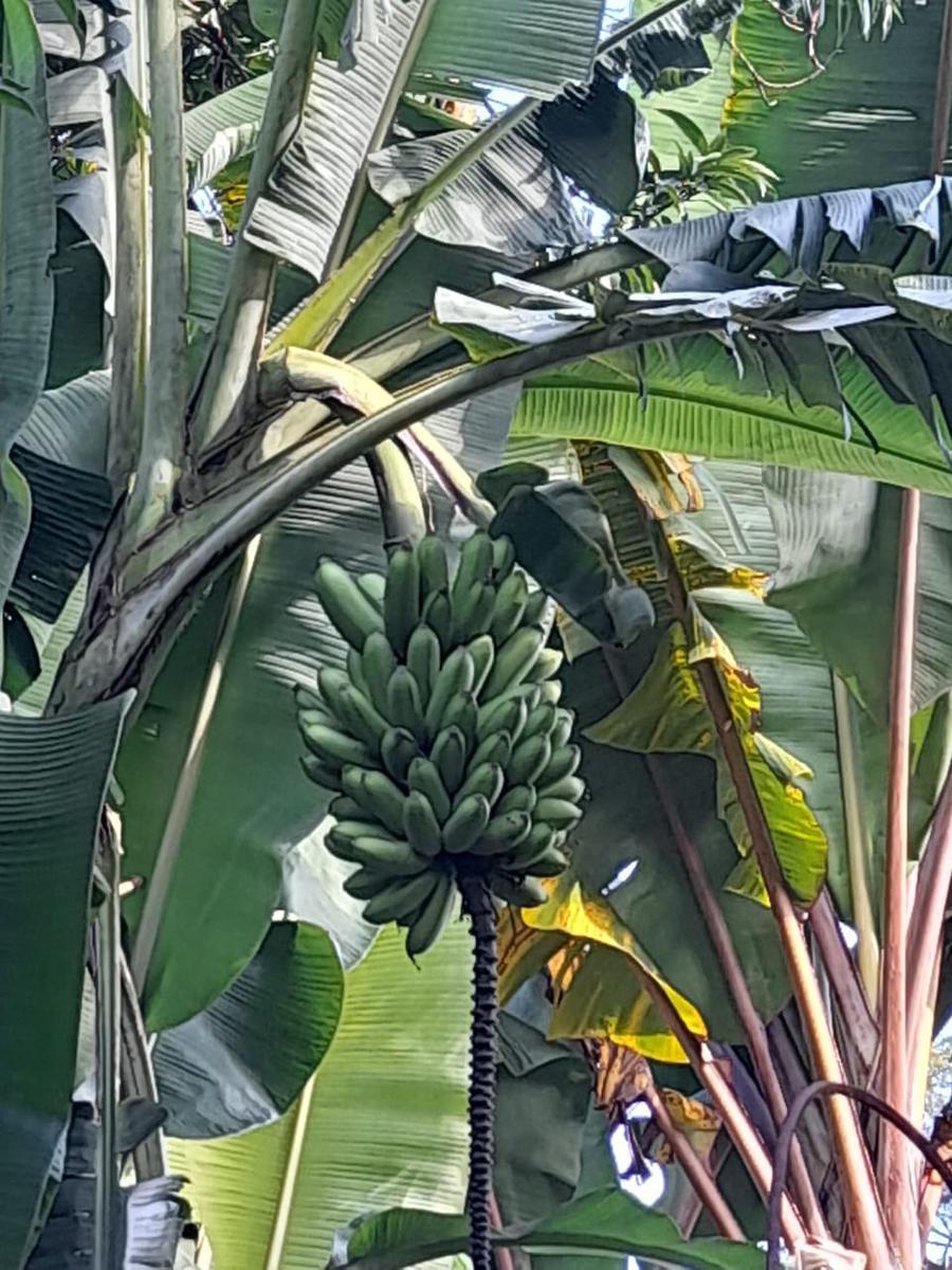 Casa, Bandeirinhas, 2 Quartos, 2 Vagas