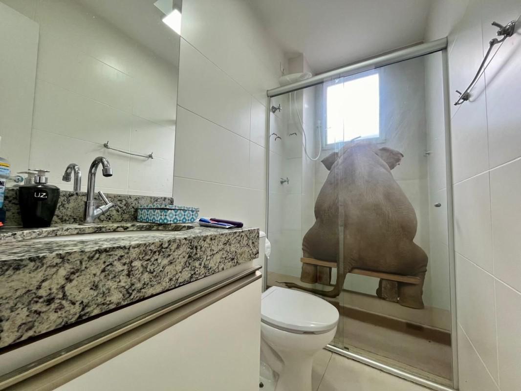 Cobertura, Cabral, 2 Quartos, 2 Vagas, 1 Suíte