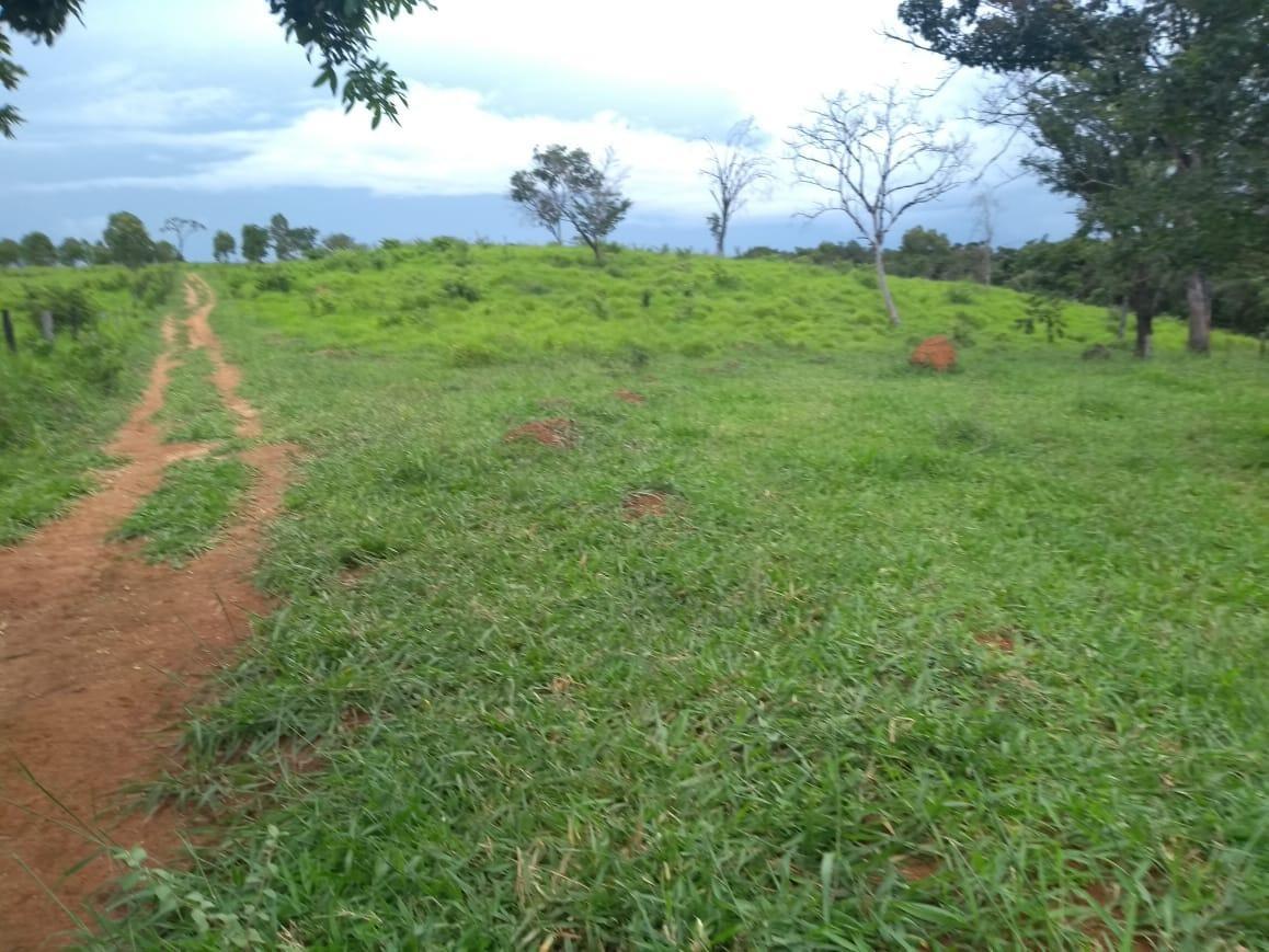 Fazenda, Zona Rural, 3 Quartos, 0 Vaga