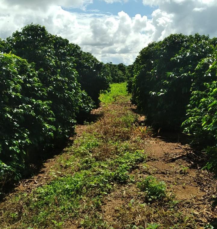 Fazenda, Zona Rural, 1 Quarto, 0 Vaga