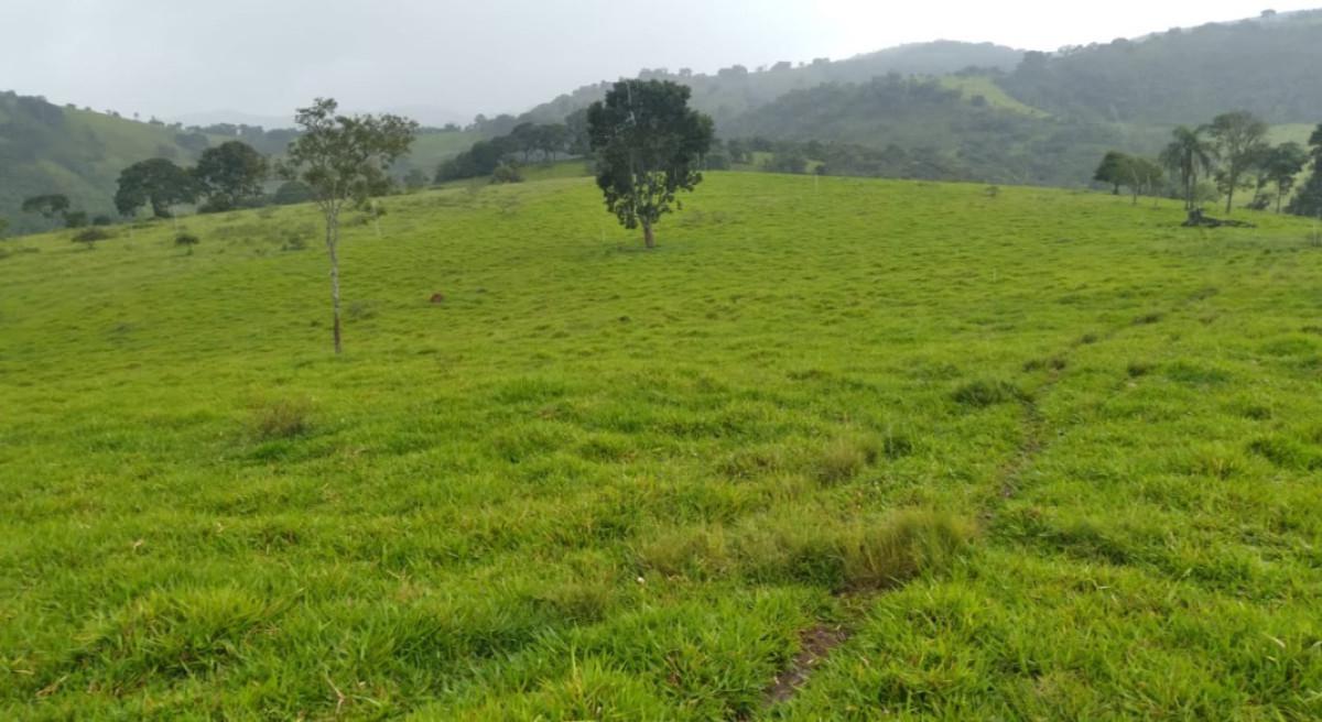 Fazenda, Zona Rural, 0 Quarto, 0 Vaga