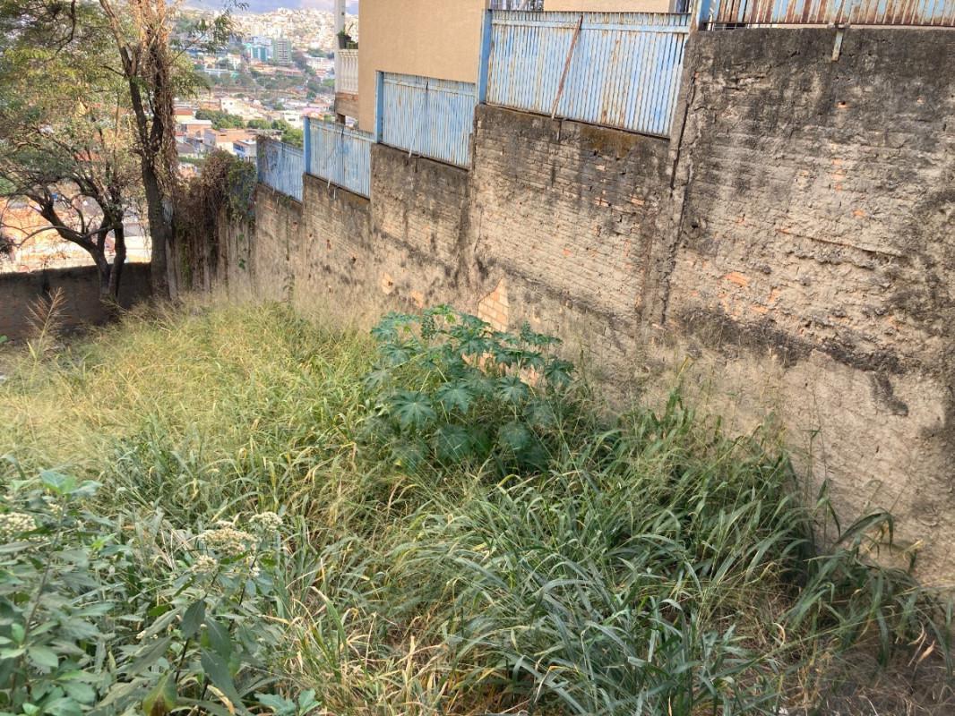 Lote, Industrial, 0 Quarto, 0 Vaga