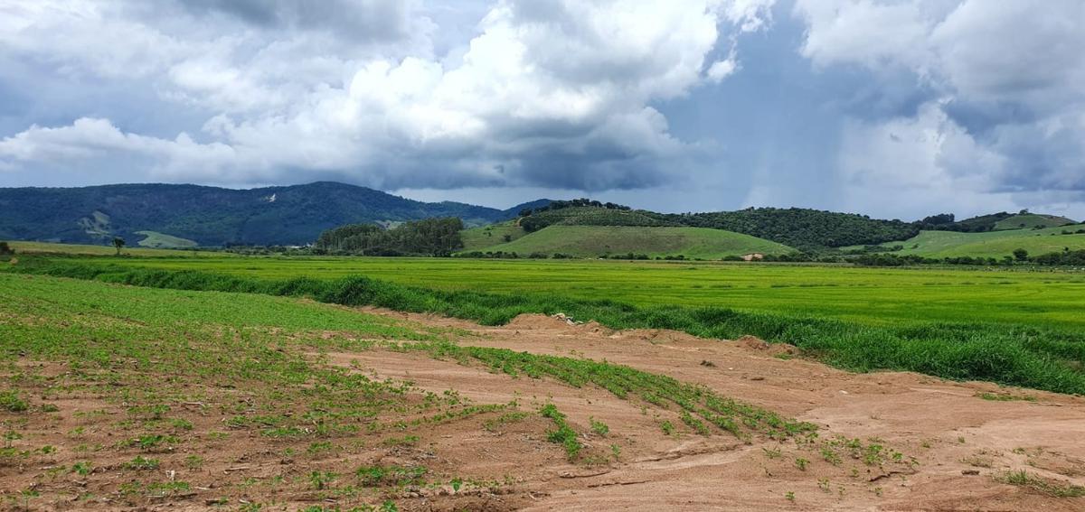 Fazenda, Centro, 1 Quarto, 1 Vaga, 1 Suíte