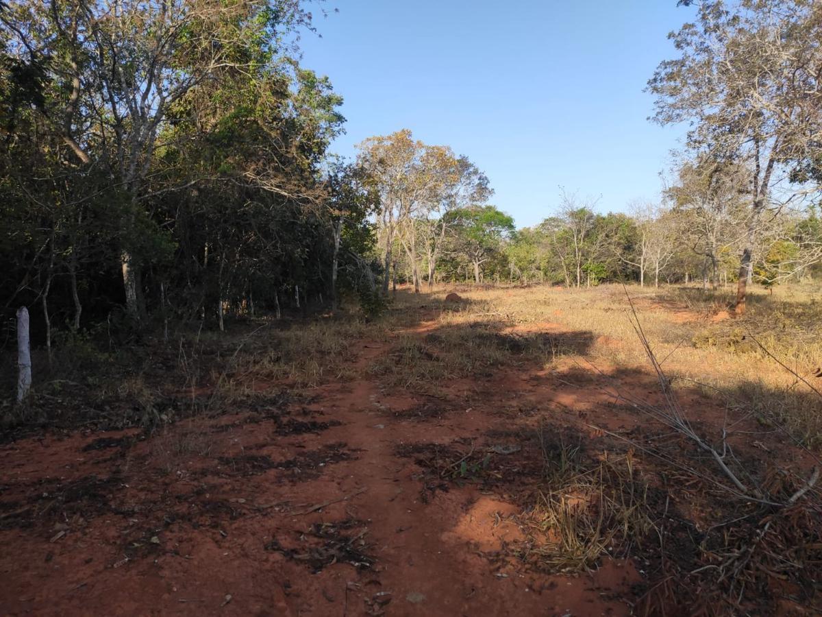 Lote, Centro, 0 Quarto, 0 Vaga