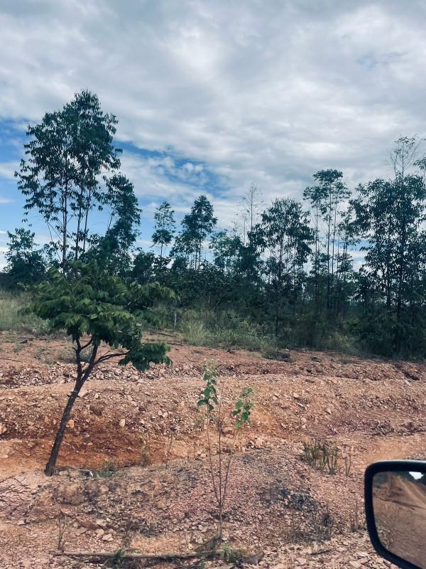 Lote, Centro, 1 Quarto, 0 Vaga