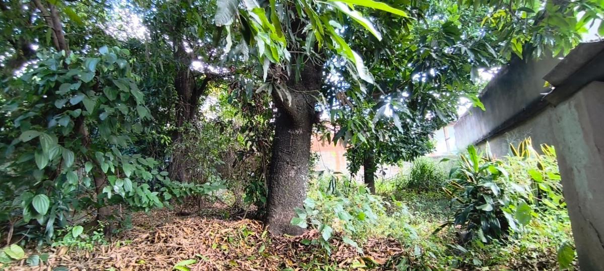 Lote, Santa Cruz, 0 Quarto, 0 Vaga