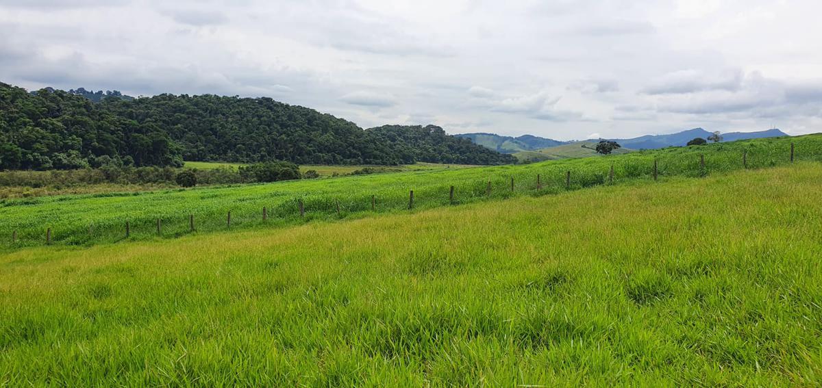 Fazenda, Centro, 4 Quartos, 2 Vagas, 1 Suíte