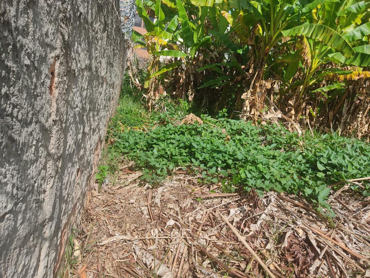 Lote, Palmares, 0 Quarto, 0 Vaga