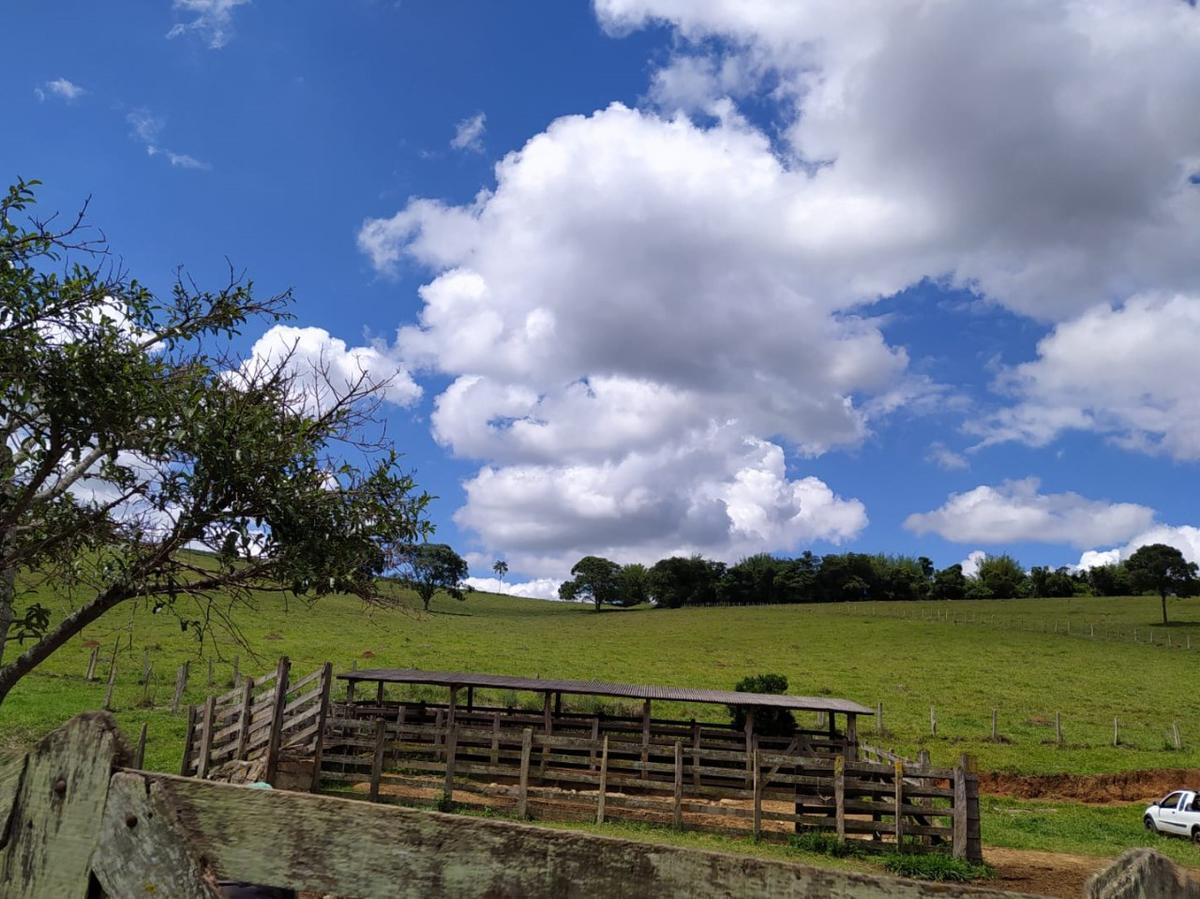 Fazenda, Centro, 1 Quarto, 1 Vaga