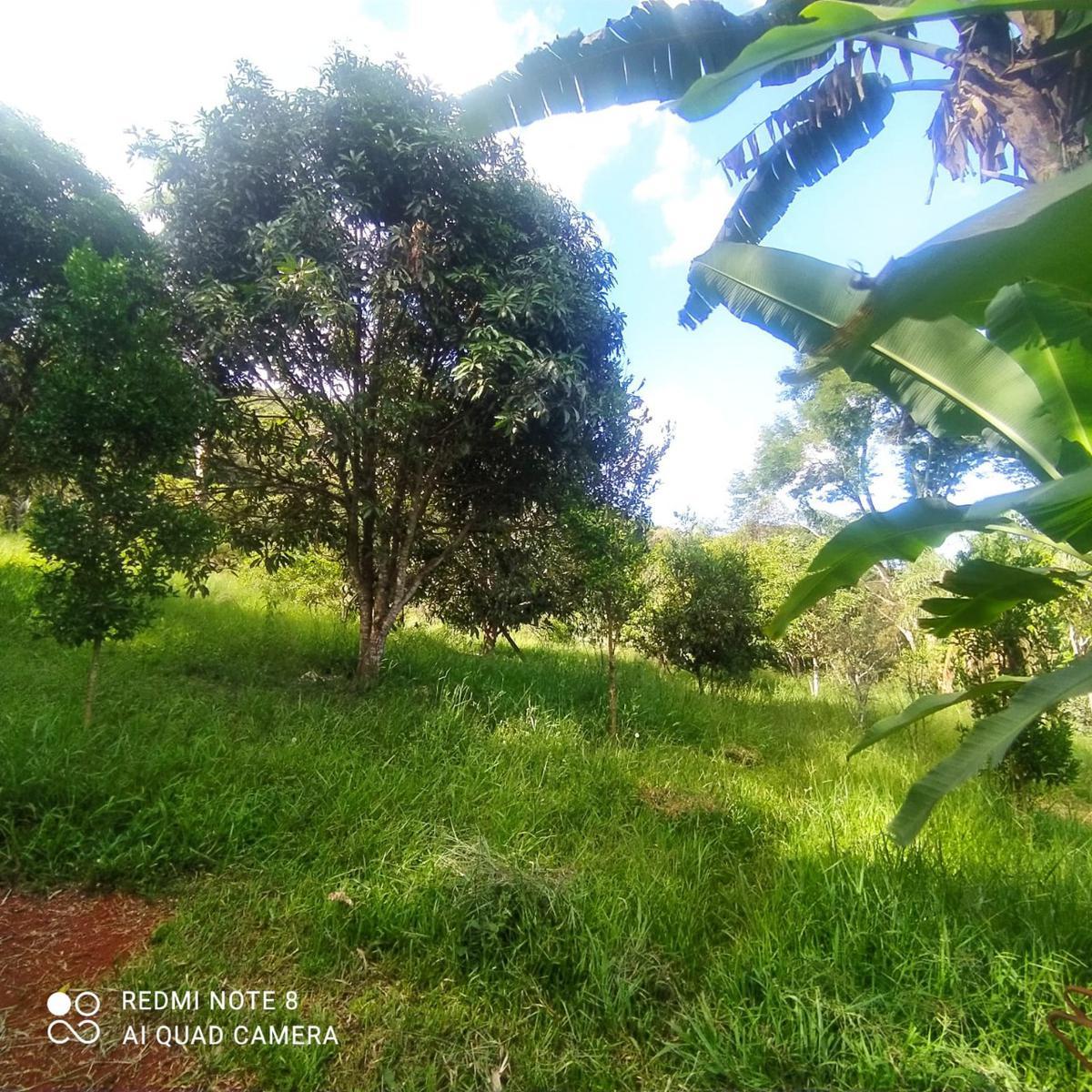 Fazenda, Zona Rural, 3 Quartos, 5 Vagas