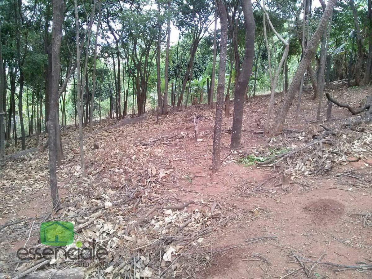 Lote, Chácara Cotia, 0 Quarto, 0 Vaga