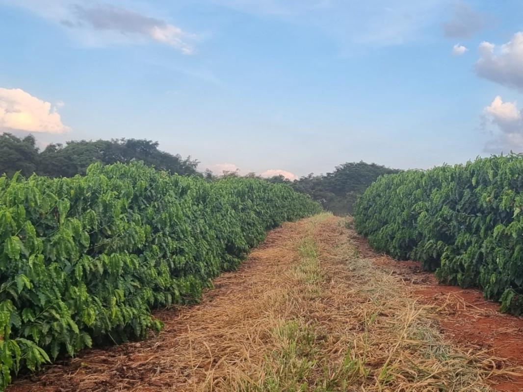 Fazenda, Zona Rural, 0 Quarto, 0 Vaga