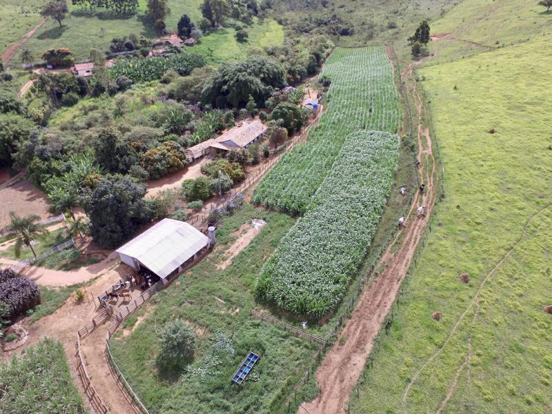 Fazenda, 4 Quartos, 1 Suíte