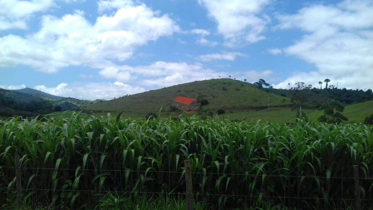 Fazenda, Centro, 0 Quarto, 0 Vaga