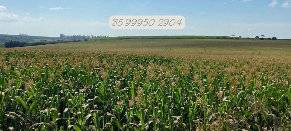 Fazenda, Zona Rural, 0 Quarto, 0 Vaga