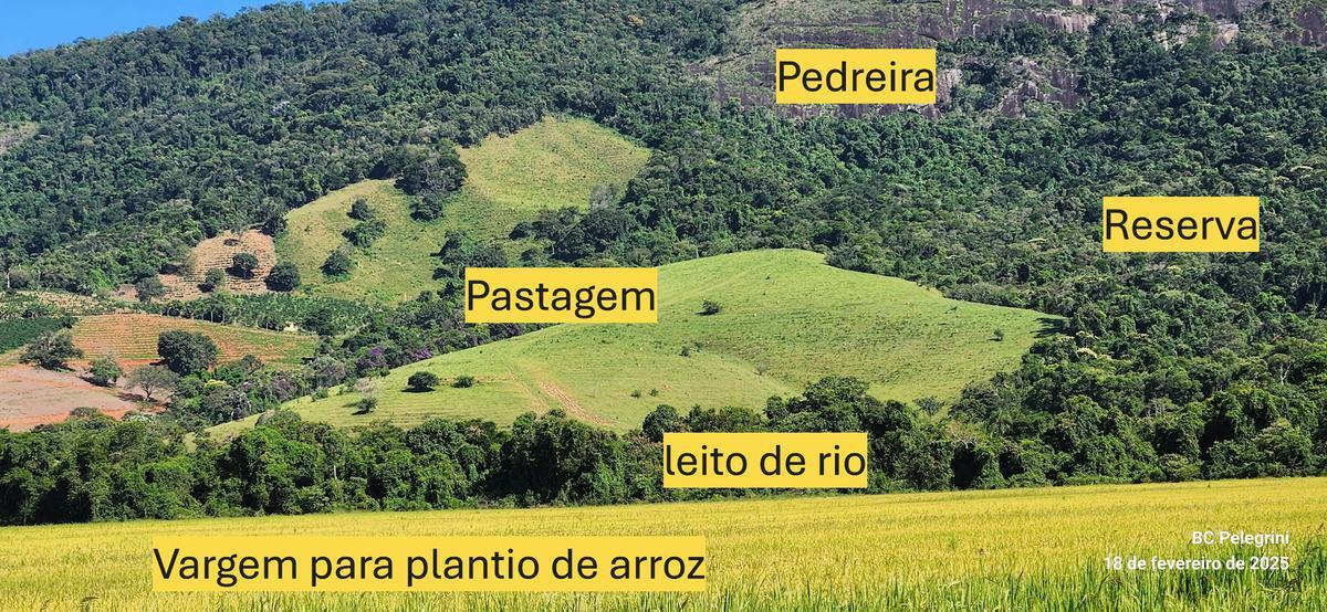 Fazenda, Zona Rural, 1 Quarto, 1 Vaga, 1 Suíte