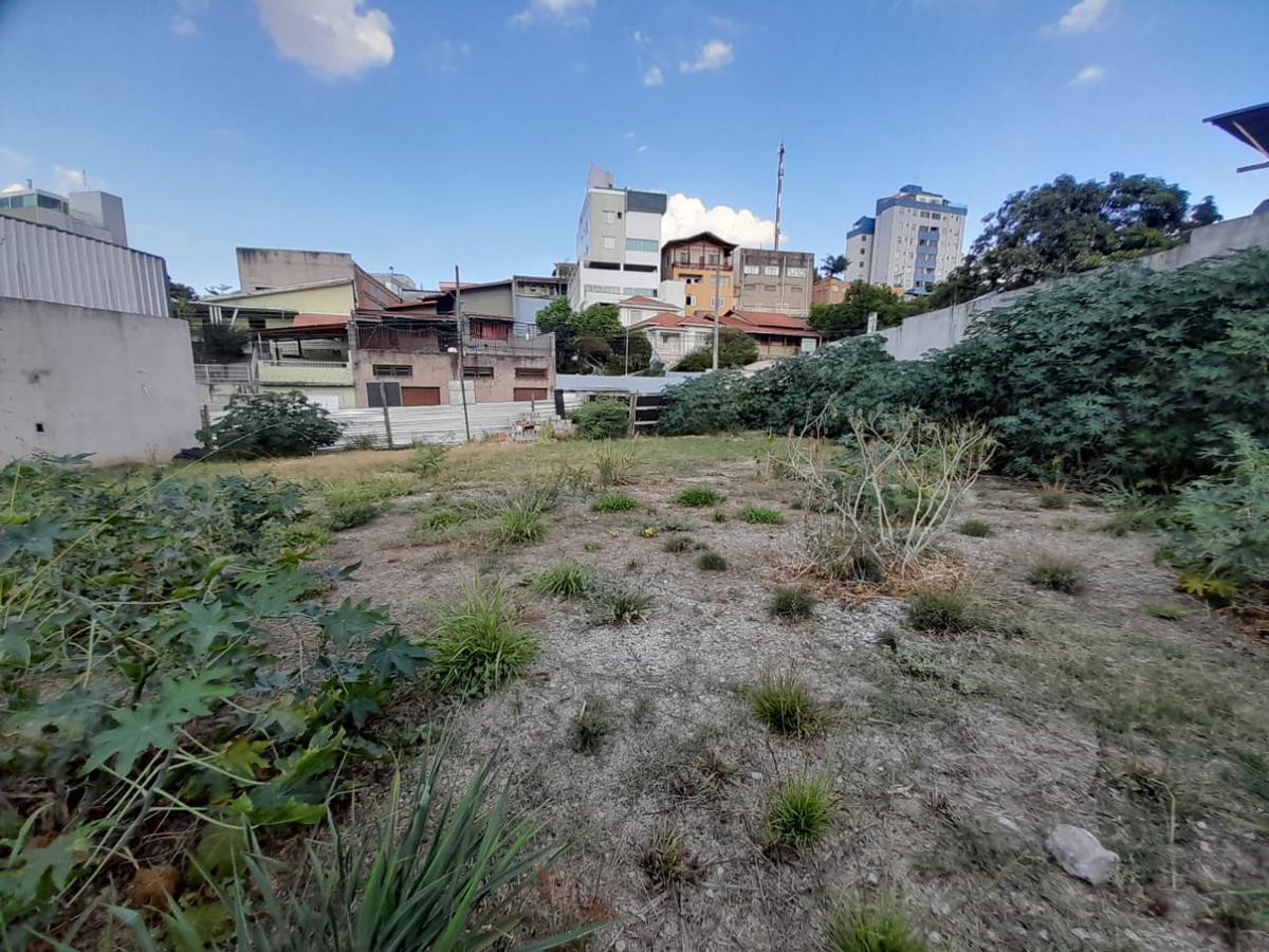 Lote, Floresta, 0 Quarto, 0 Vaga
