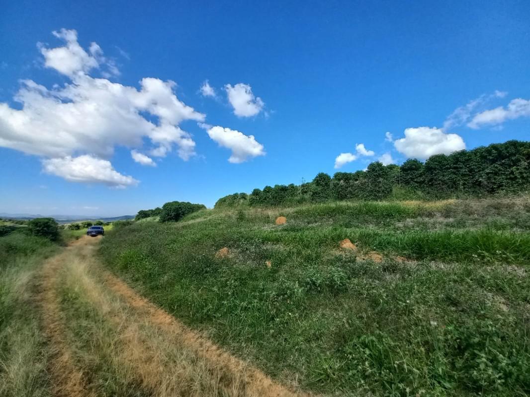 Fazenda, Zona Rural, 5 Quartos, 0 Vaga, 1 Suíte