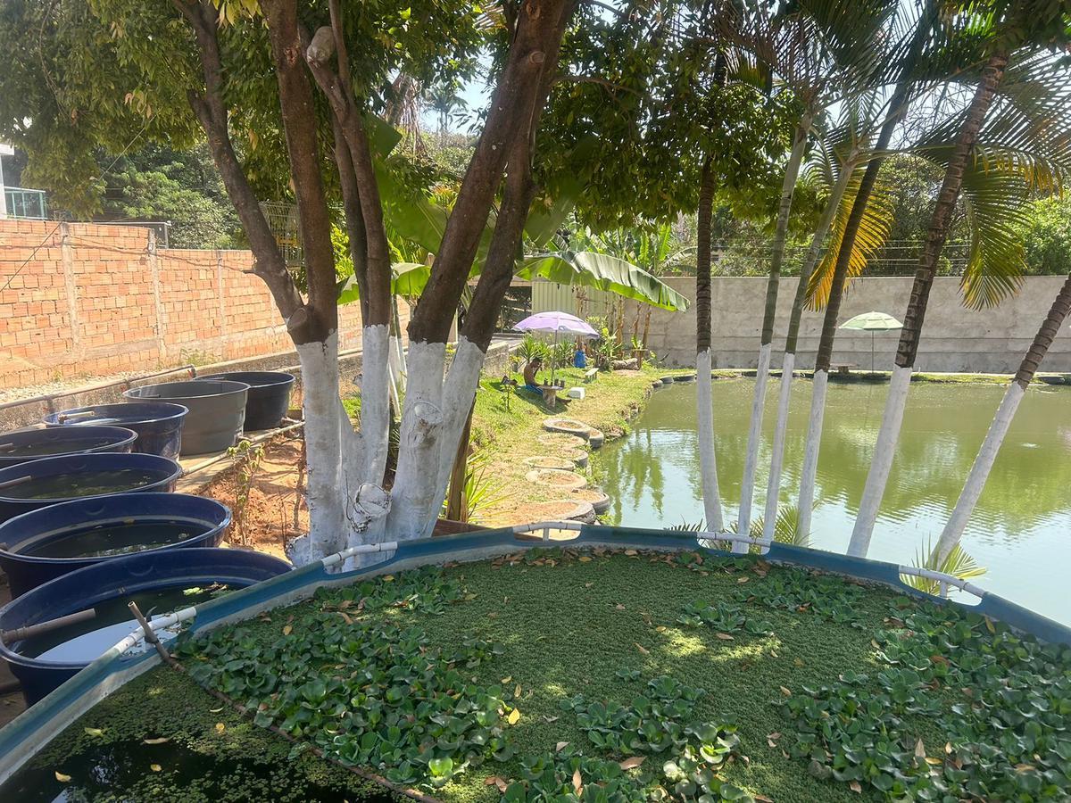 Lote, Trevo, 5 Quartos, 5 Vagas