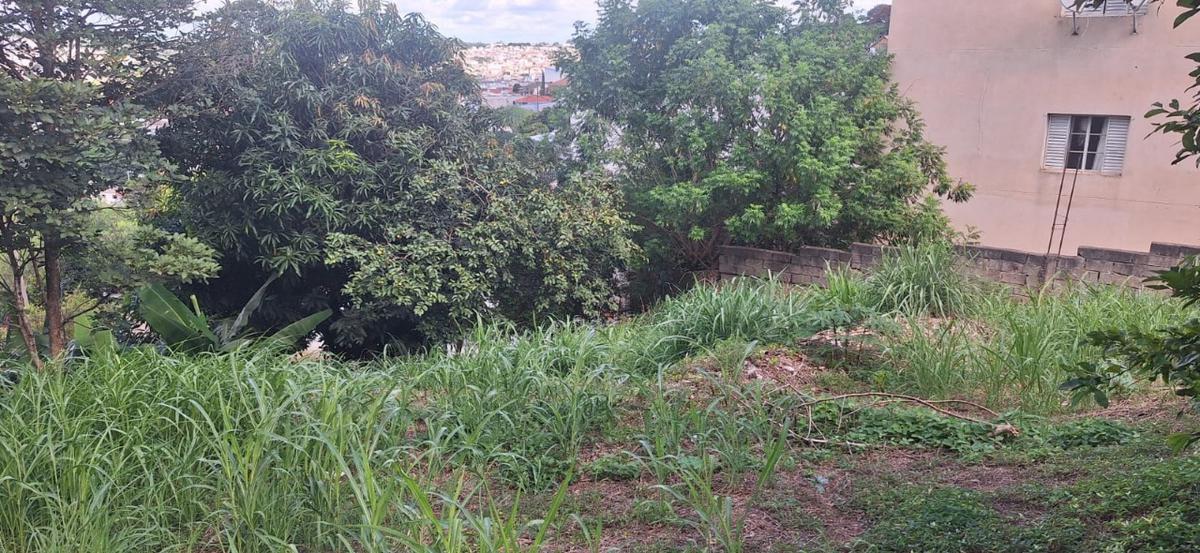 Lote, Centro, 0 Quarto, 0 Vaga