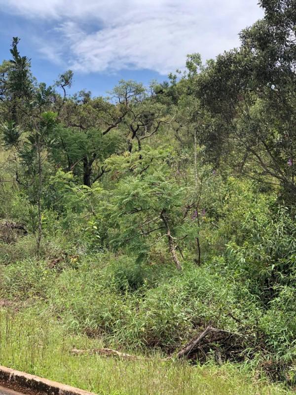 Lote, Villabella, 0 Quarto, 0 Vaga