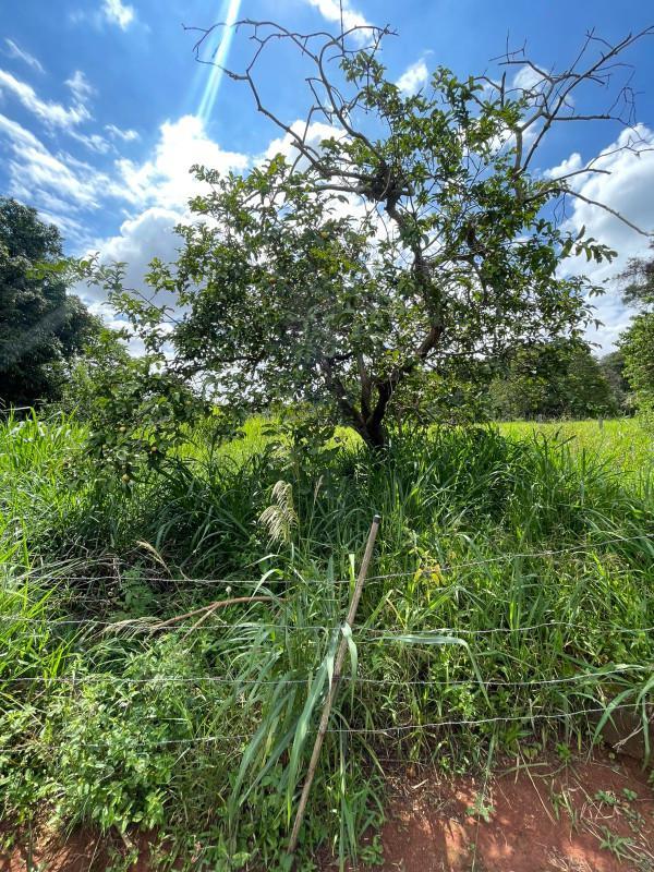 Fazenda, Centro, 8 Quartos, 0 Vaga