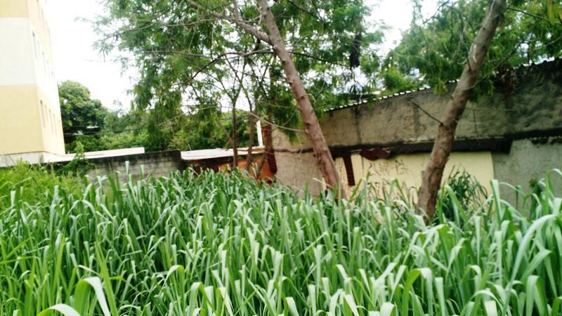 Lote, São Bernardo, 1 Quarto, 0 Vaga