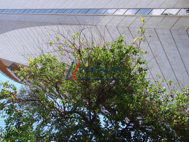 Apartamento, Funcionários, 4 Quartos, 4 Vagas, 4 Suítes