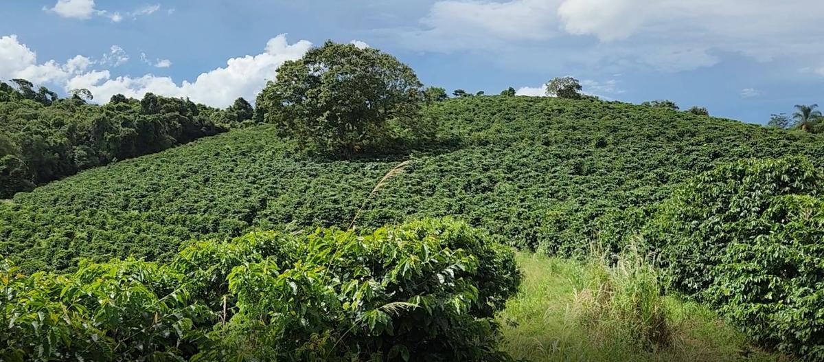 Fazenda, Zona Rural, 3 Quartos, 0 Vaga