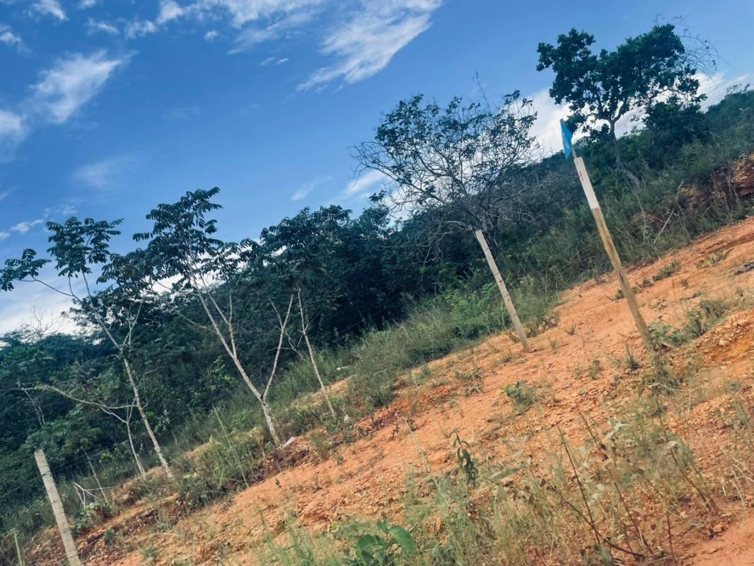 Lote, Centro, 1 Quarto, 0 Vaga