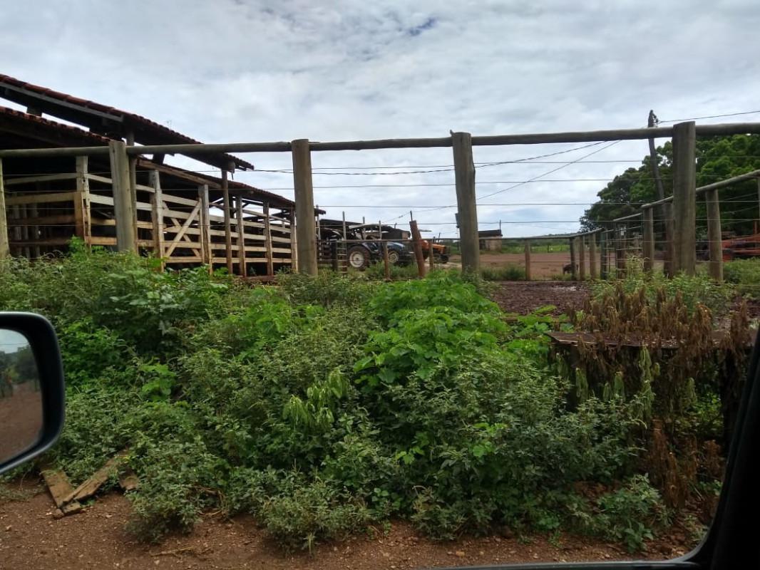 Fazenda, Zona Rural, 0 Quarto, 0 Vaga, 5 Suítes